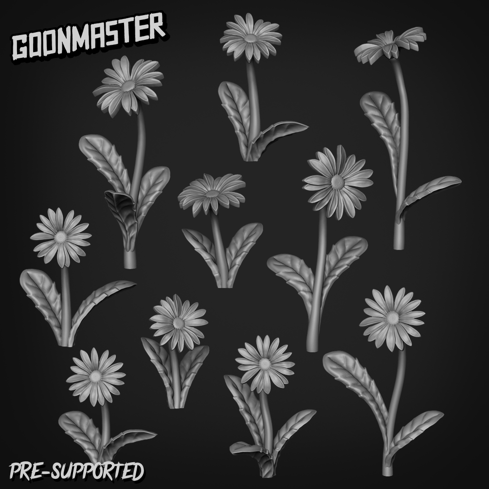 Basing Bits 179 - Bellis Perennis